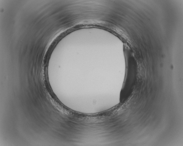 X0000077280976200611171558