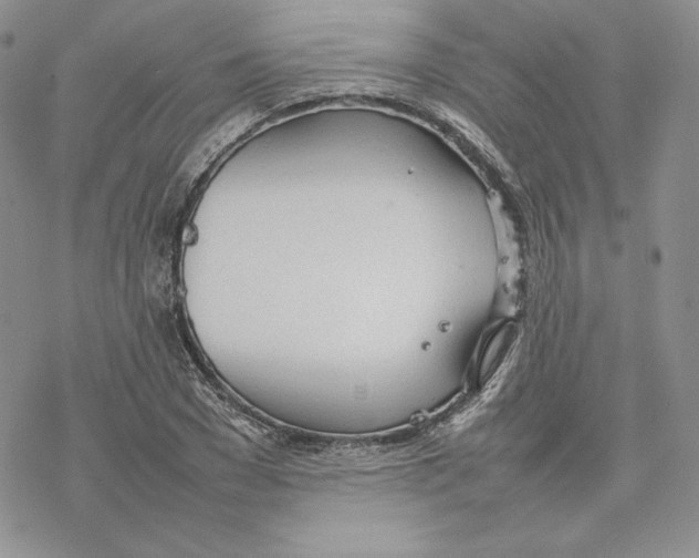 X0000077280977200611171558