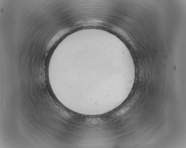 X0000077280978200611171558