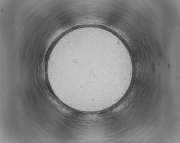 X0000077280982200611171558