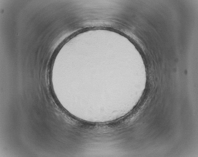 X0000077280983200611171558