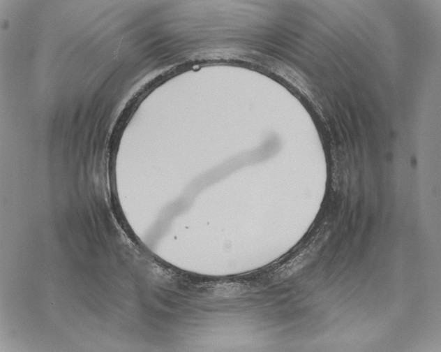 X0000077280984200611171558