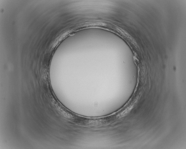 X0000077280985200611171558