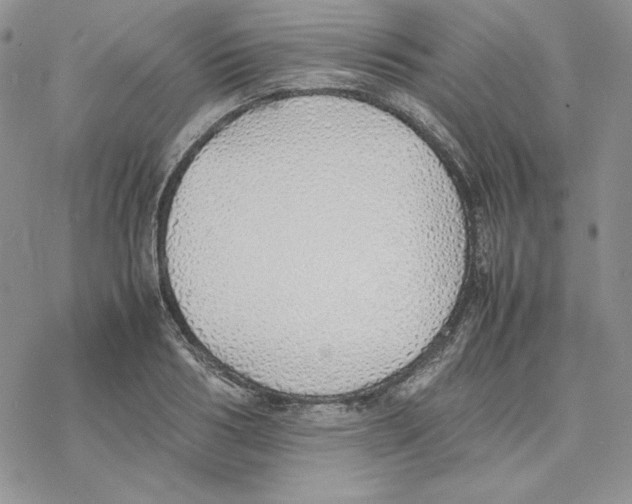 X0000077280986200611171558