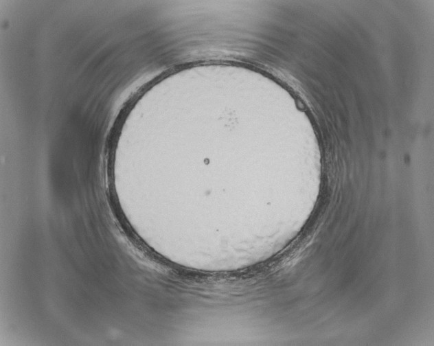 X0000077280987200611171558