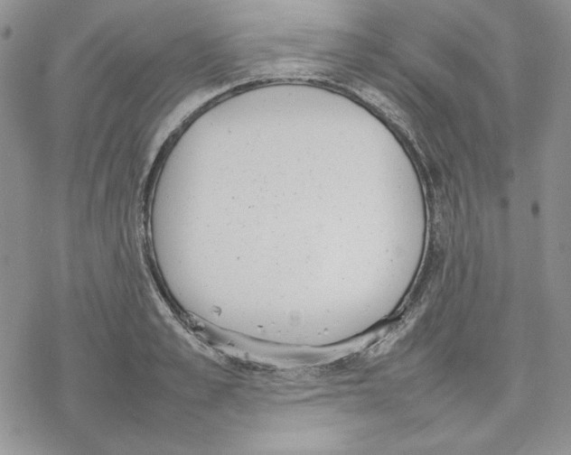 X0000077280989200611171558