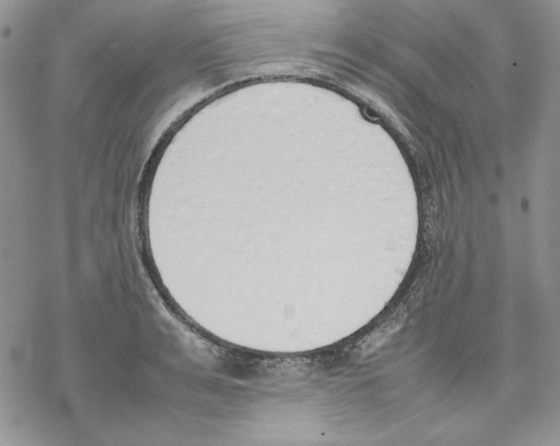 X0000077280991200611171557