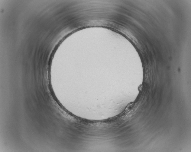 X0000077280992200611171557