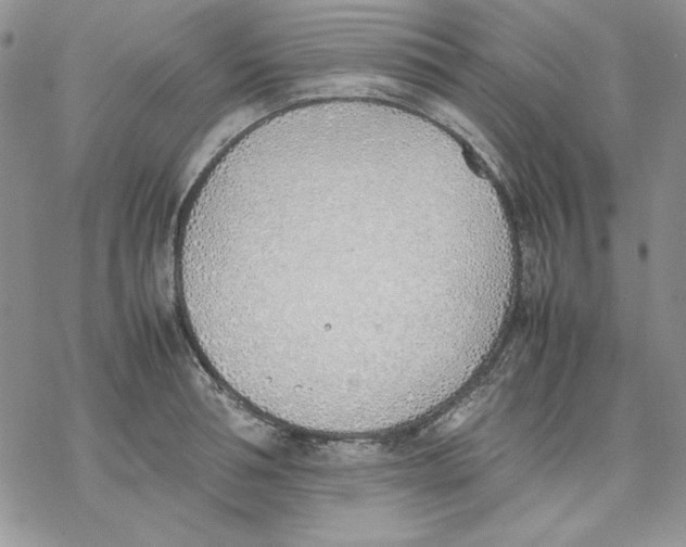 X0000077280994200611171557