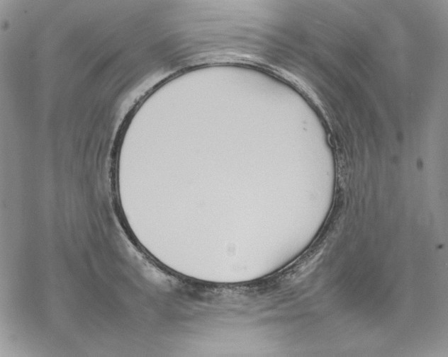 X0000077280995200611171557