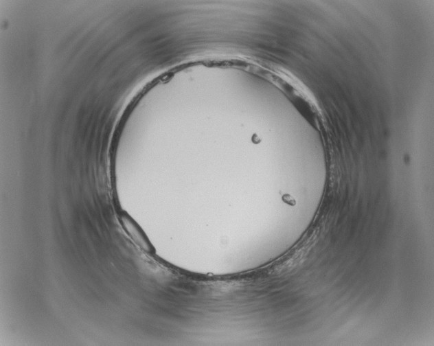 X0000077280996200611171557