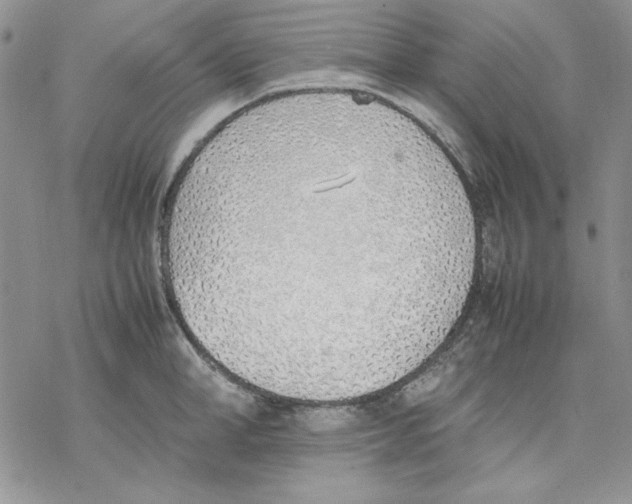 X0000077280998200611171557