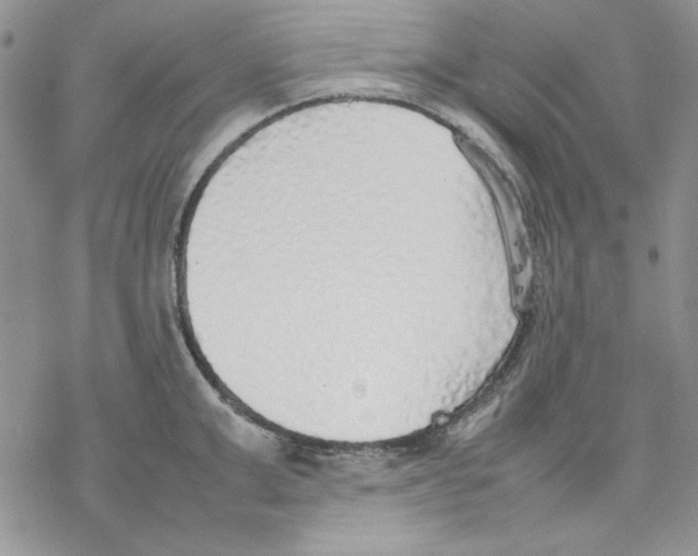 X0000077280999200611171557