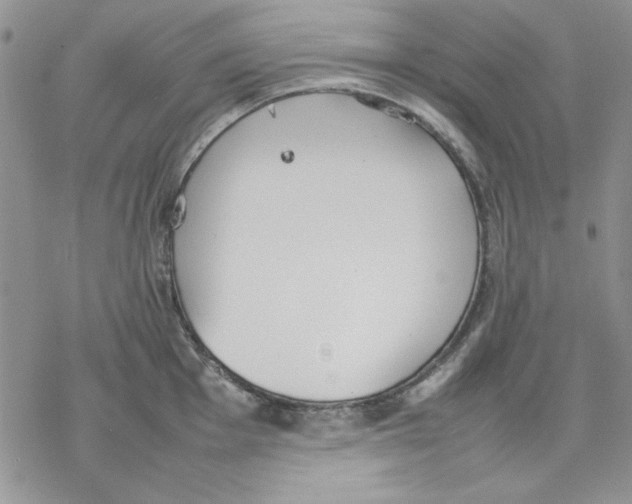 X0000077281001200611171557