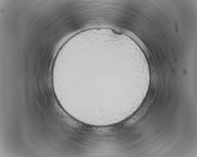 X0000077281004200611171557