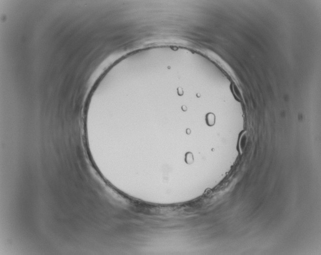 X0000077281005200611171557