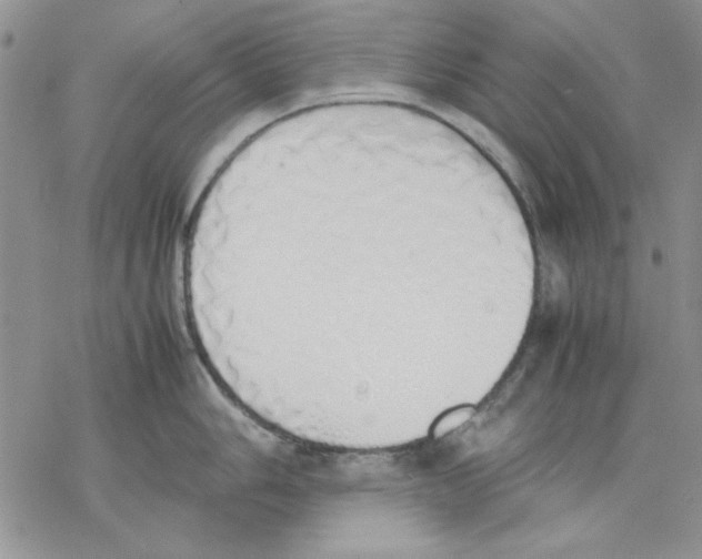 X0000077281006200611171557