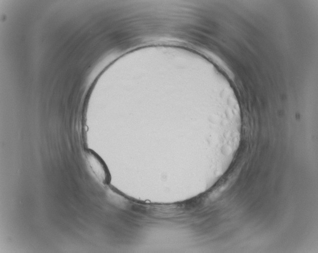 X0000077281007200611171557