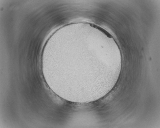 X0000077281008200611171557