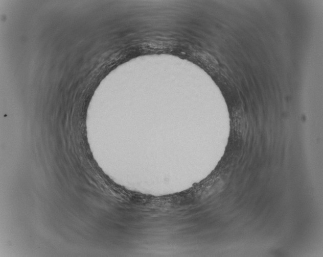 X0000077281009200611171556