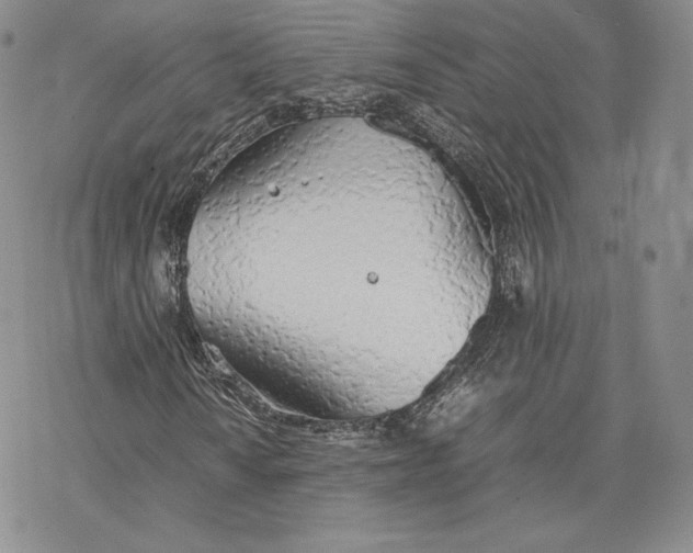 X0000077281010200611171556