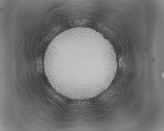 X0000077281011200611171556