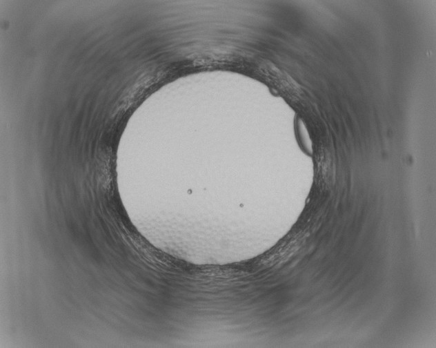 X0000077281012200611171556