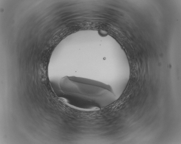 X0000077281013200611171556