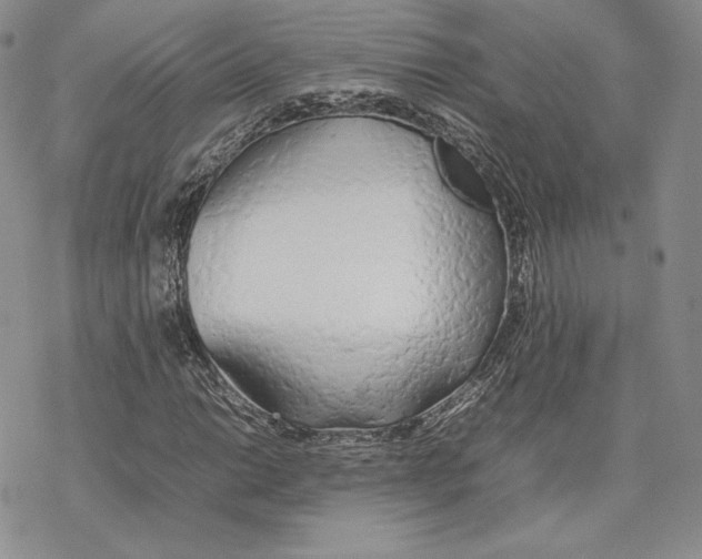 X0000077281014200611171557