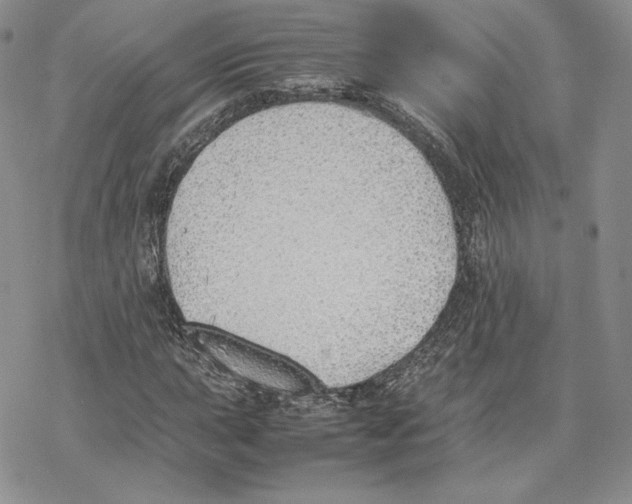 X0000077281015200611171557