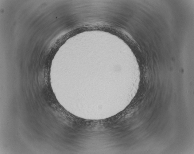 X0000077281016200611171557