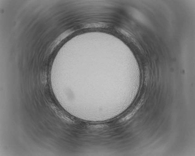 X0000077281017200611171557