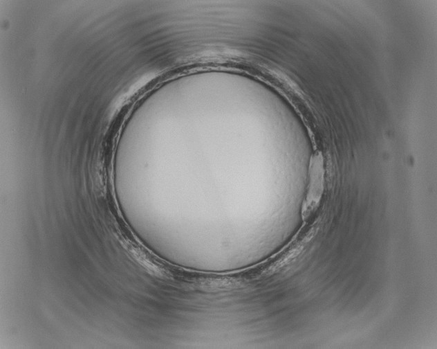 X0000077281018200611171557