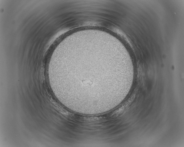 X0000077281019200611171557