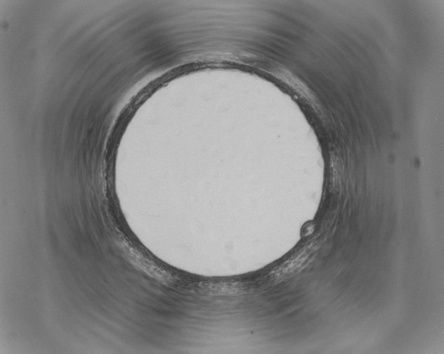 X0000077281020200611171557