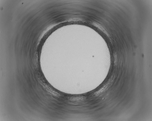 X0000077281021200611171557