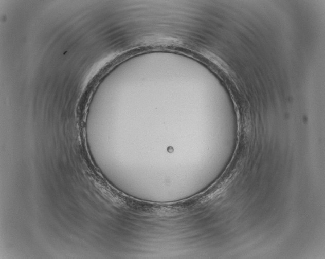 X0000077281022200611171557