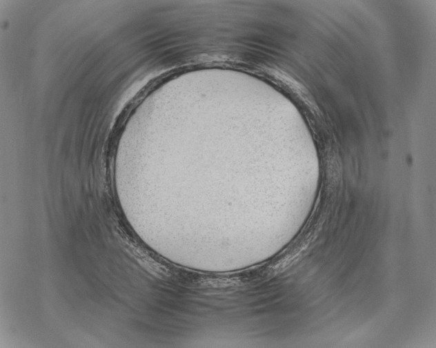 X0000077281023200611171557