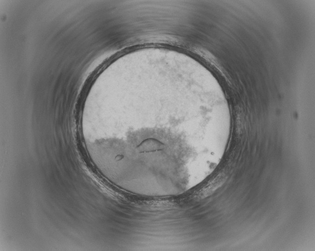 X0000077281024200611171557