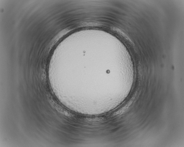 X0000077281025200611171557