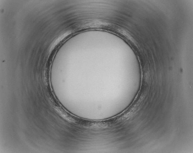 X0000077281026200611171557