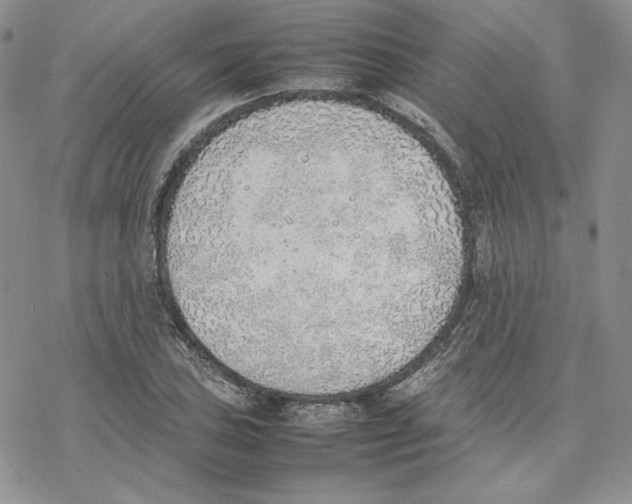 X0000077281027200611171557