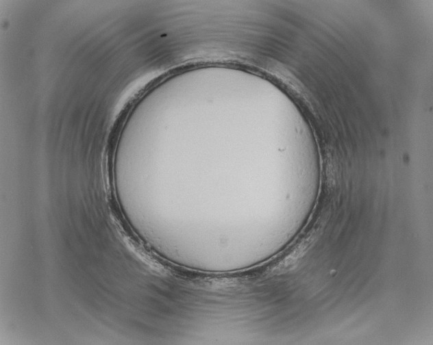 X0000077281030200611171557