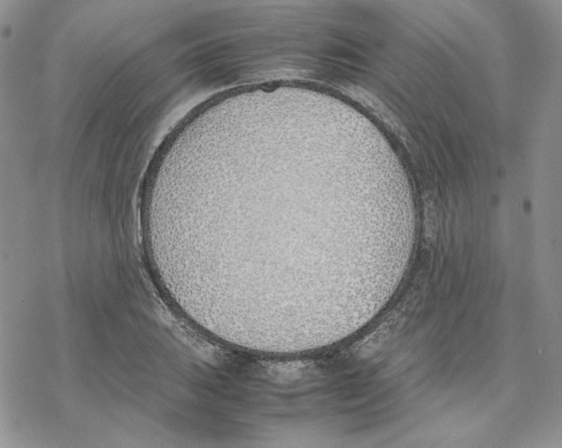 X0000077281031200611171557