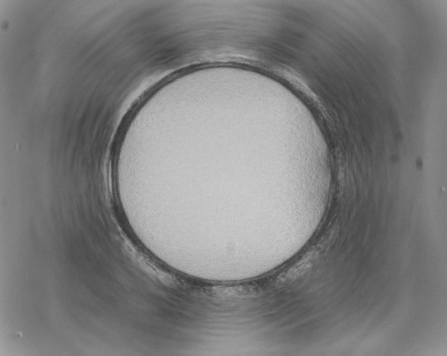 X0000077281032200611171557