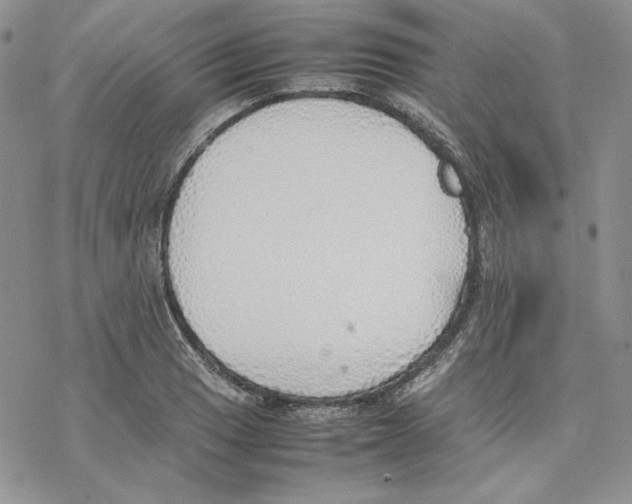 X0000077281033200611171557