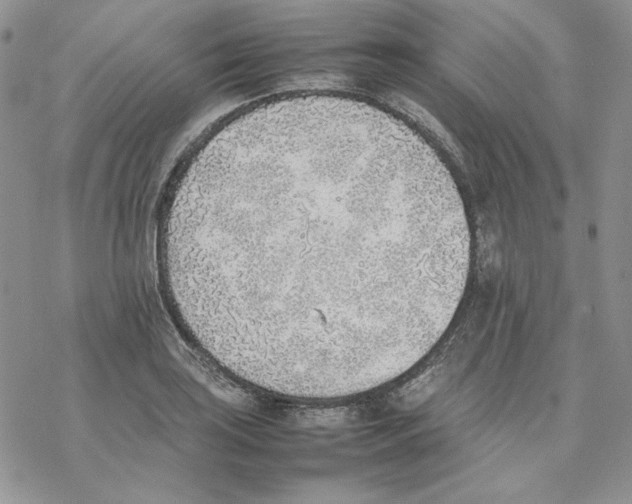 X0000077281035200611171557