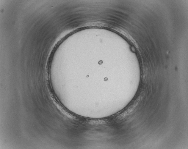 X0000077281037200611171557