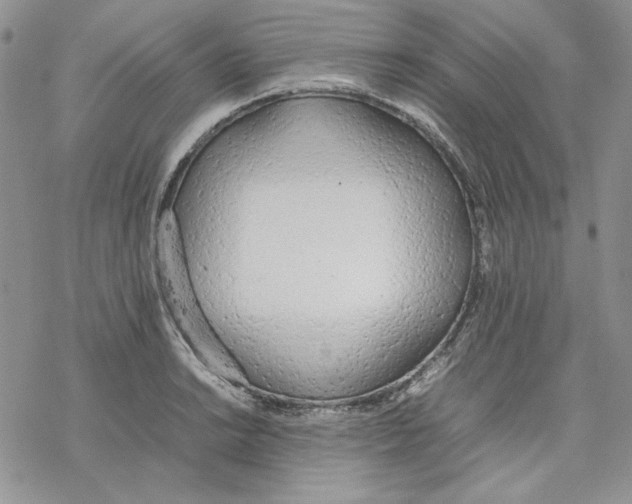 X0000077281038200611171557