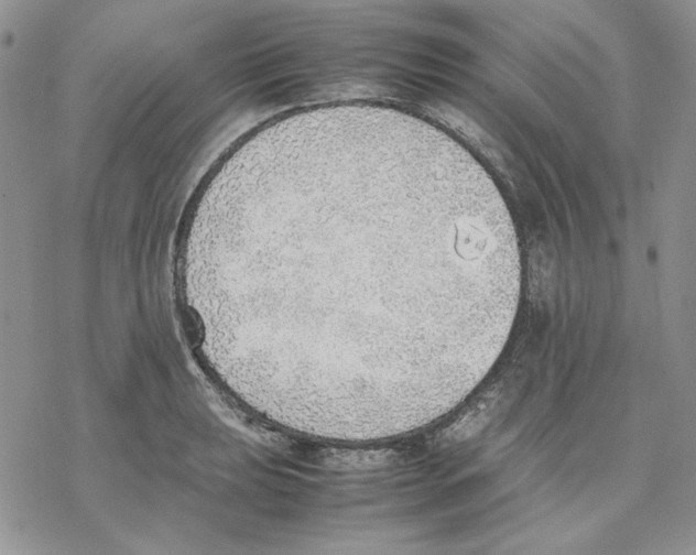 X0000077281039200611171557